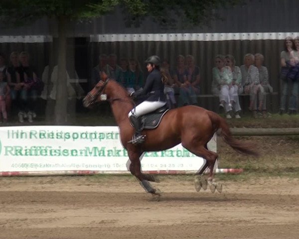 Reitturnier Erkrath-Unterfeldhaus 2017