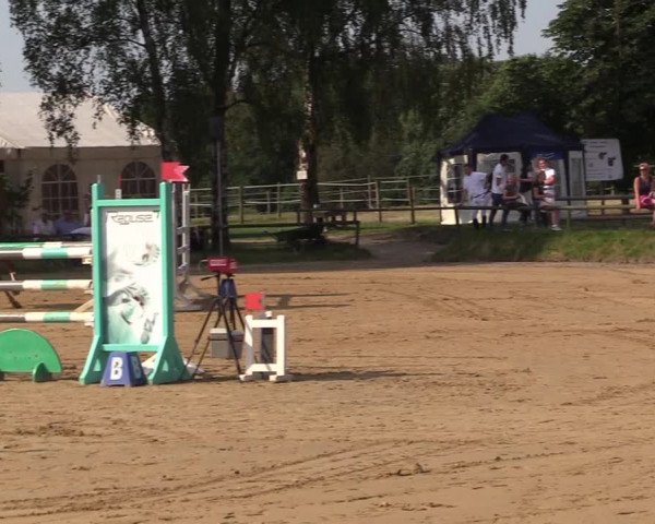Reitturnier Herbern 2017