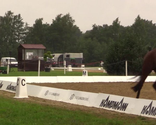 Euregioturnier Wietmarschen 2017