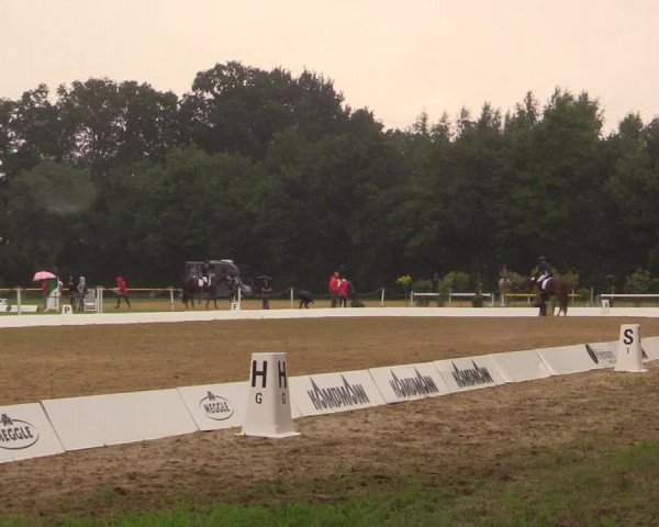 Euregioturnier Wietmarschen 2017
