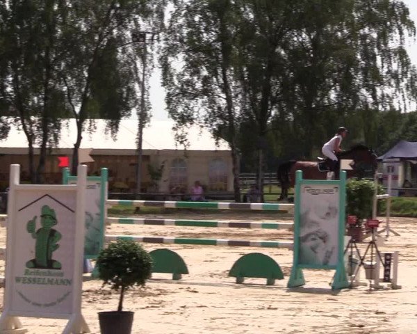 Reitturnier Herbern 2017