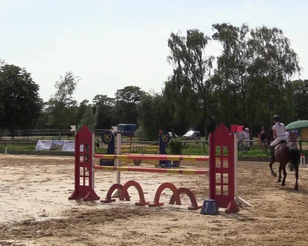 Reitturnier Herbern 2017