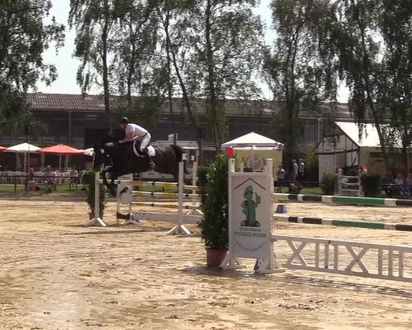Reitturnier Herbern 2017