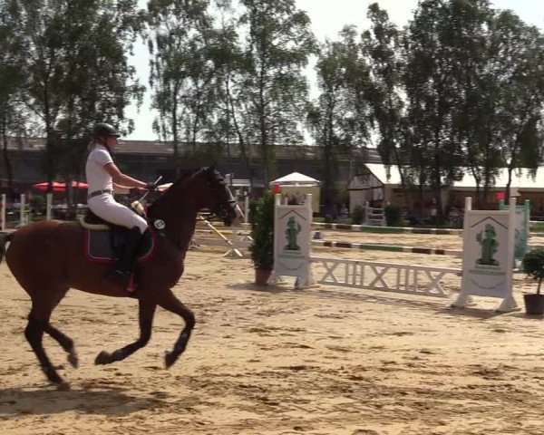 Reitturnier Herbern 2017