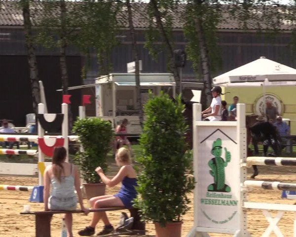 Reitturnier Herbern 2017