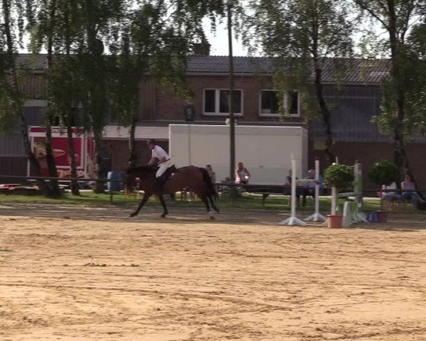 Reitturnier Herbern 2017
