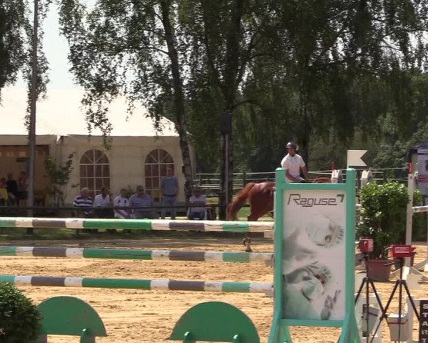 Reitturnier Herbern 2017