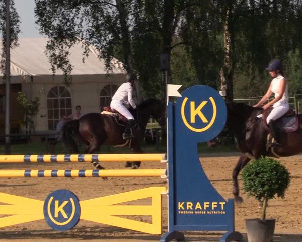 Reitturnier Herbern 2017