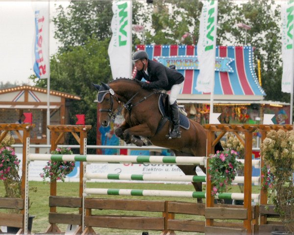 jumper As di Casablanca M (Hanoverian, 2001, from As di Villagana)