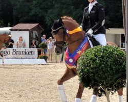 stallion Cypress Hill WE (German Riding Pony, 2015, from Churchill E WE)
