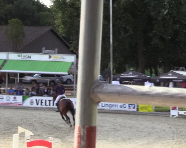 Euregioturnier Wietmarschen 2017