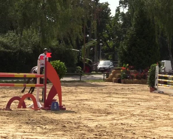Reitturnier Herbern 2017