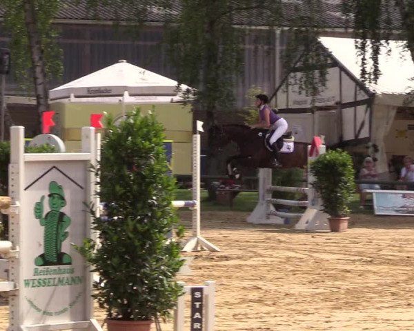 Reitturnier Herbern 2017