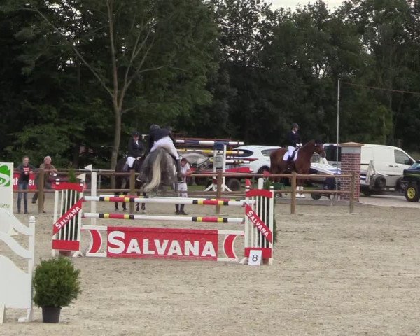 Euregioturnier Wietmarschen 2017