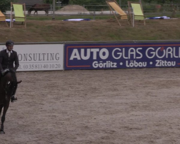 Reitturnier Görlitz 2017