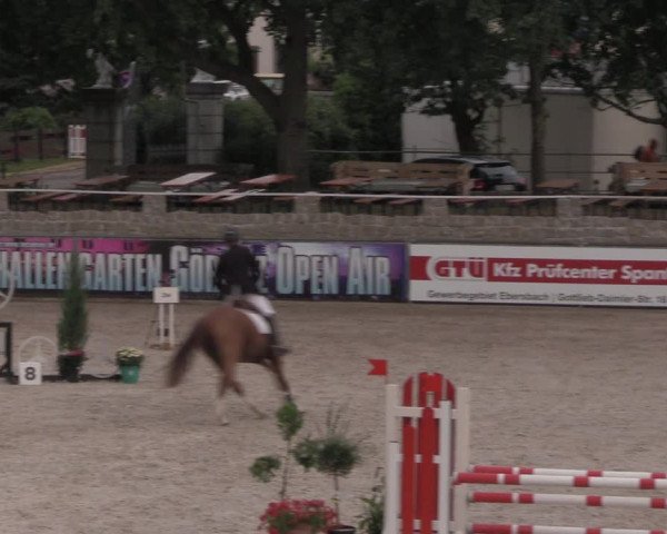 Reitturnier Görlitz 2017