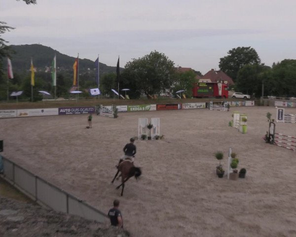 Reitturnier Görlitz 2017