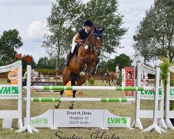 jumper Escalino (KWPN (Royal Dutch Sporthorse), 2006, from VDL Empire)