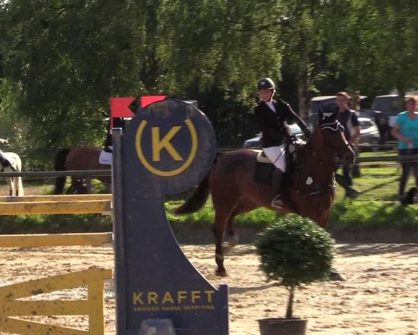 Reitturnier Herbern 2017