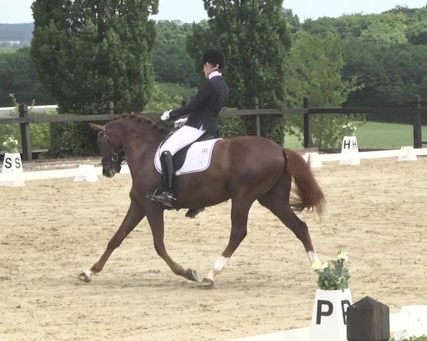 Reitturnier Leudelange-Ecuries des Prés 2017