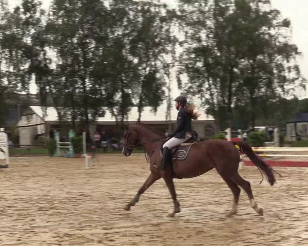 Reitturnier Herbern 2017