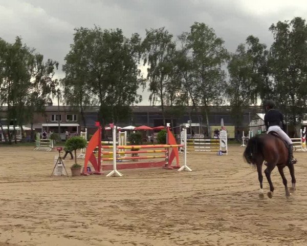 Reitturnier Herbern 2017
