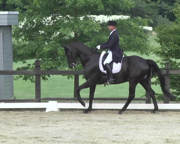 Reitturnier Leudelange-Ecuries des Prés 2017