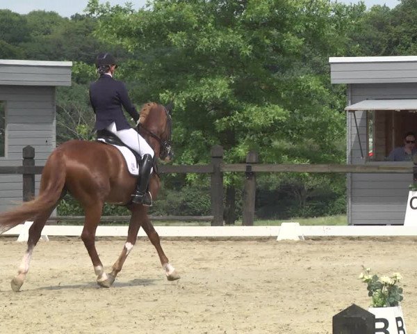 Reitturnier Leudelange-Ecuries des Prés 2017