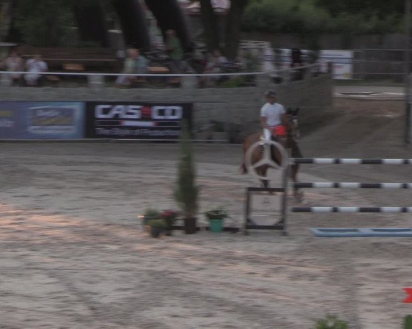 Reitturnier Görlitz 2017