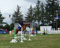 jumper La Roche S (Westphalian, 2014, from Lacordos)