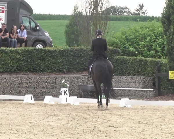 Reitturnier Leudelange-Ecuries des Prés 2017