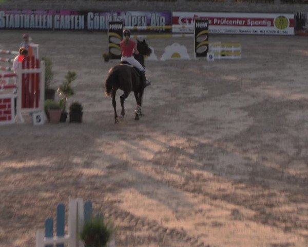 Reitturnier Görlitz 2017