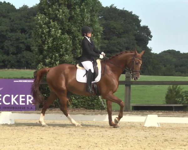 Reitturnier Leudelange-Ecuries des Prés 2017