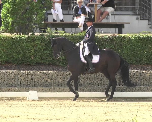 Reitturnier Leudelange-Ecuries des Prés 2017