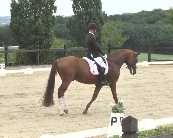 Reitturnier Leudelange-Ecuries des Prés 2017