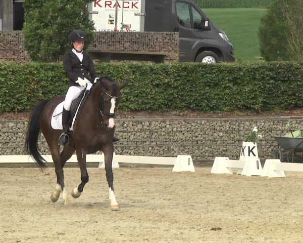 Reitturnier Leudelange-Ecuries des Prés 2017