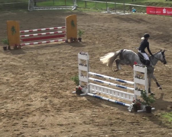 Reitturnier CSN Calvörde 2017