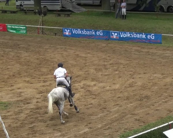 Reitturnier CSN Calvörde 2017