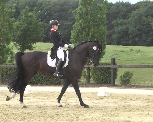 Reitturnier Leudelange-Ecuries des Prés 2017