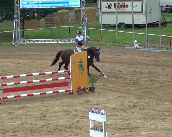 Reitturnier CSN Calvörde 2017