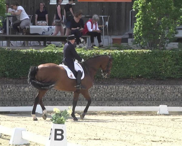 Reitturnier Leudelange-Ecuries des Prés 2017