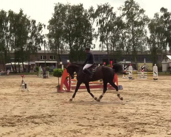Reitturnier Herbern 2017