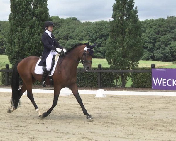 Reitturnier Leudelange-Ecuries des Prés 2017