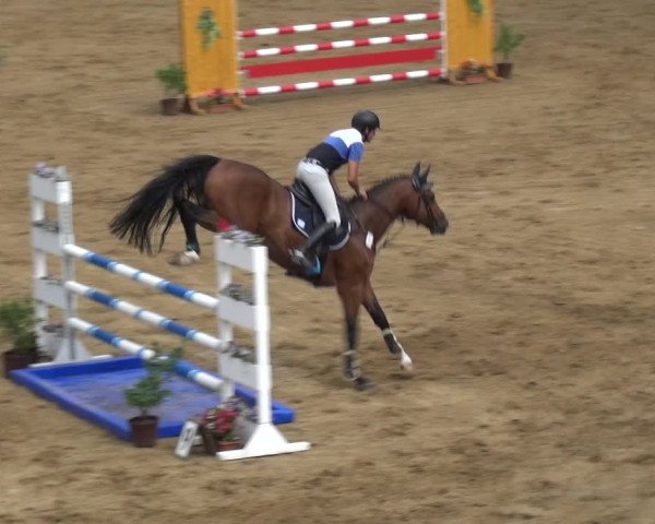 Reitturnier CSN Calvörde 2017