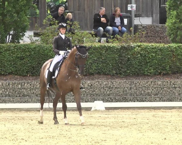 Reitturnier Leudelange-Ecuries des Prés 2017