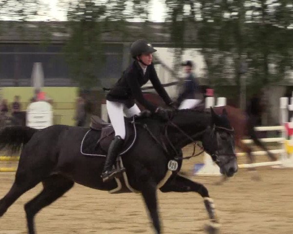Reitturnier Herbern 2017