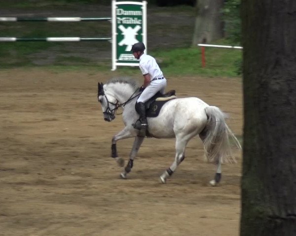 Reitturnier CSN Calvörde 2017