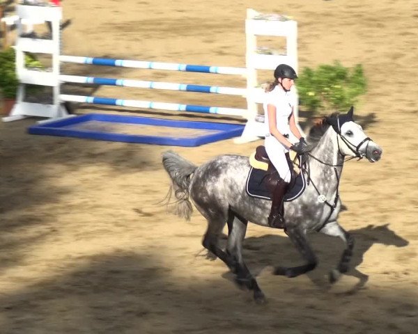 Reitturnier CSN Calvörde 2017