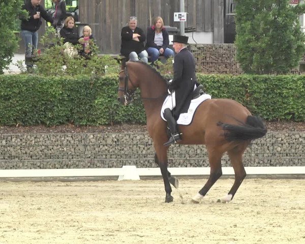 Reitturnier Leudelange-Ecuries des Prés 2017