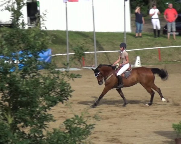 Reitturnier CSN Calvörde 2017